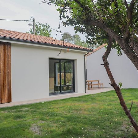Charmante Maison Neuve Au Lac D'Hourtin Εξωτερικό φωτογραφία